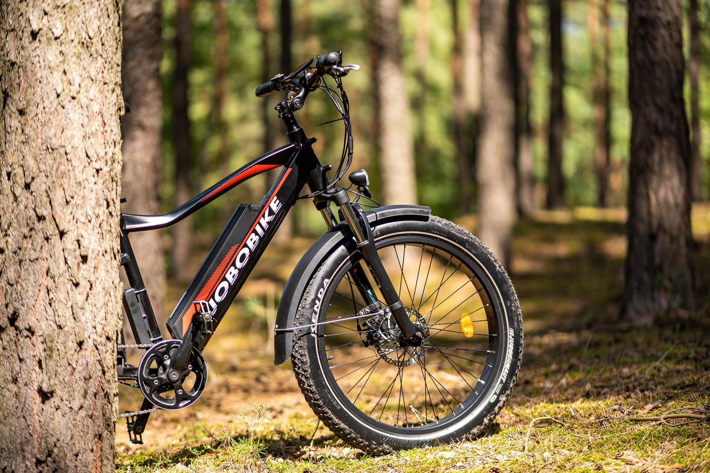 Was machen Sie mit Ihrem E-Bike, wenn die Temperaturen sinken?