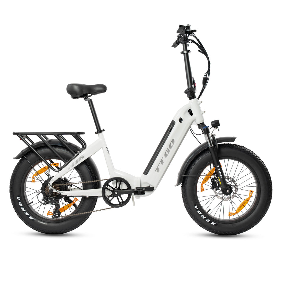 E-Bike TTGO Klapprad F6 E-MTB, 20*4 Zoll Fatbike für Schnee, klapprad 36V 25Ah Akku 7 Gang Shimano, Kettenschaltung, Heckmotor, 900 Wh, (mit Akku-Ladegerät), Elektrofahrrad mit hydraulischen Scheibenbremse, Reichweite 80km, schwarz&weiß&grün