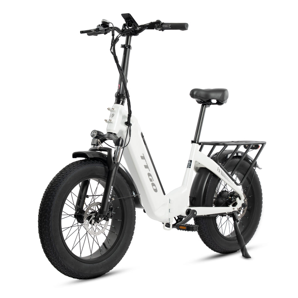 E-Bike TTGO Klapprad F6 E-MTB, 20*4 Zoll Fatbike für Schnee, klapprad 36V 25Ah Akku 7 Gang Shimano, Kettenschaltung, Heckmotor, 900 Wh, (mit Akku-Ladegerät), Elektrofahrrad mit hydraulischen Scheibenbremse, Reichweite 80km, schwarz&weiß&grün