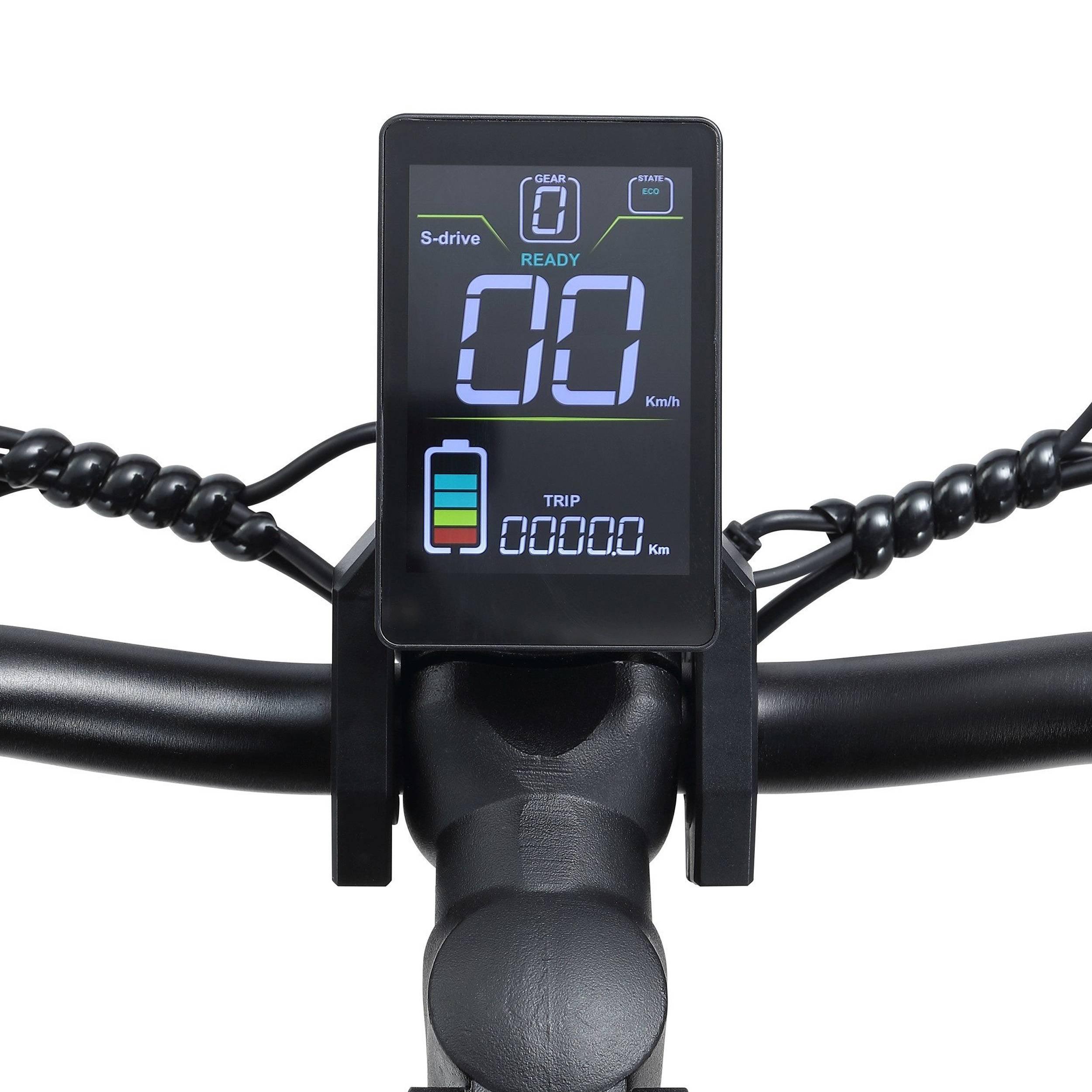 Joyor E-Scooter C10E 10 Zoll mit Straßenzulassung, herausnehmbarer Akku 500Wh, Magnesiumrahmen 25% Steigfähigkeit, klappbar, schwarz - wheelyou24